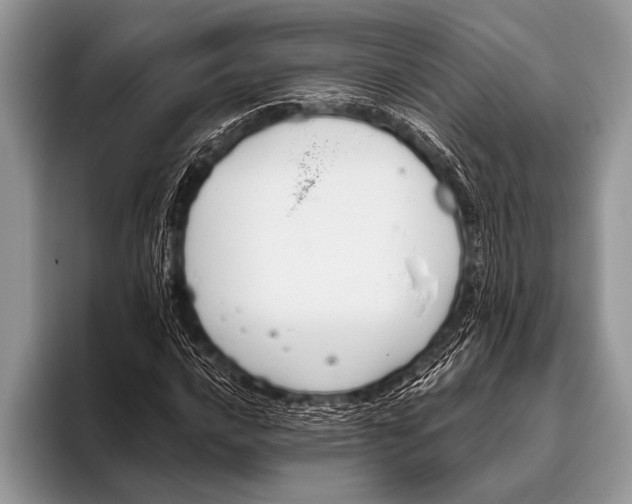 X0000096201016200802081536