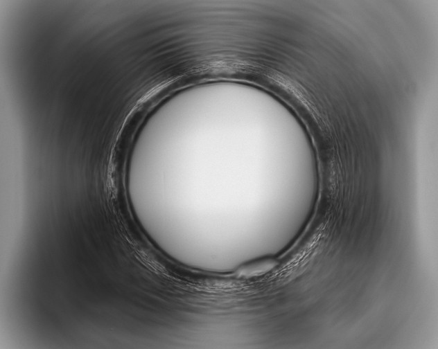 X0000096201018200802081536