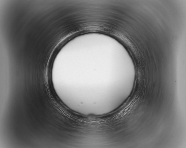 X0000096201020200802081536