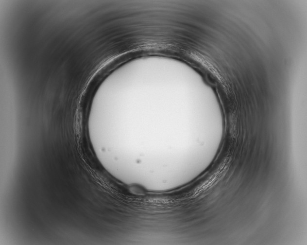 X0000096201021200802081536