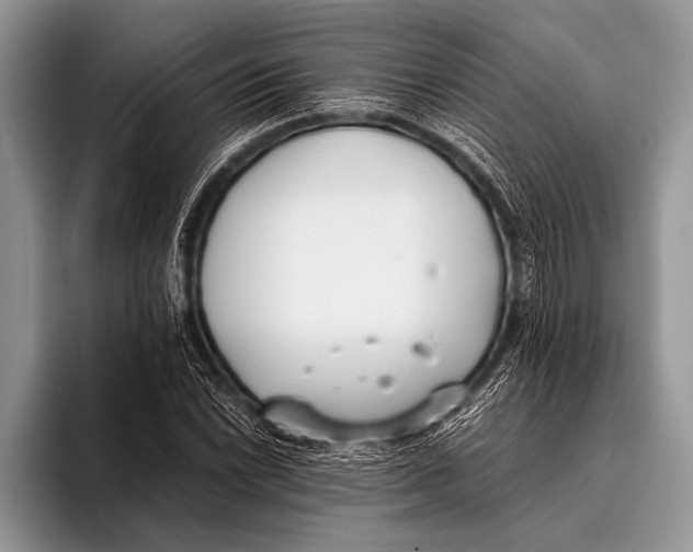 X0000096201022200802081536