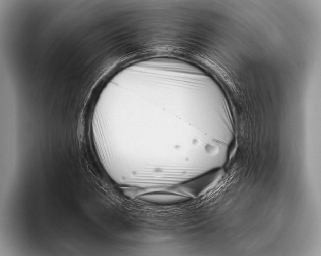 X0000096201023200802081536