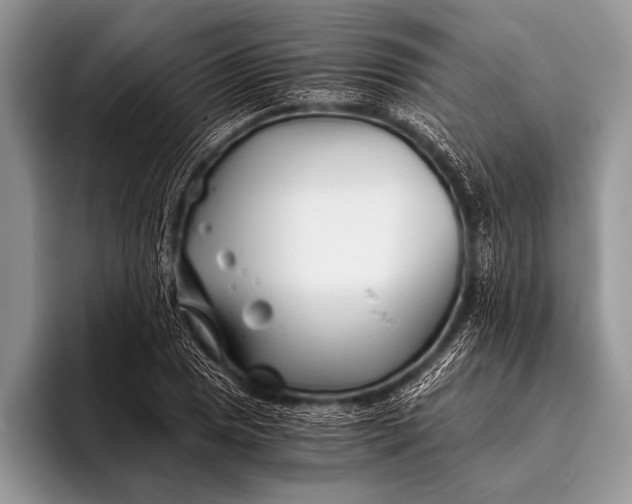 X0000096201025200802081536