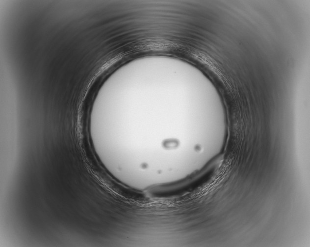 X0000096201026200802081536