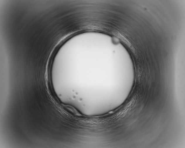 X0000096201028200802081536