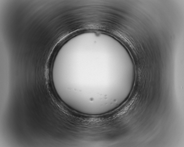 X0000096201029200802081536