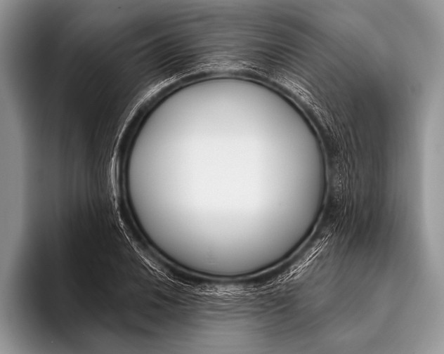 X0000096201030200802081536