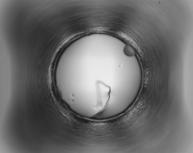 X0000096201031200802081536