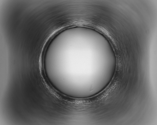 X0000096201032200802081536