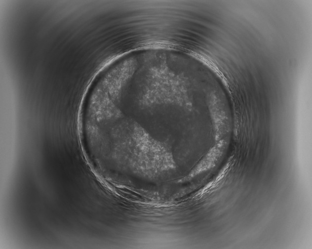 X0000096201037200802081536