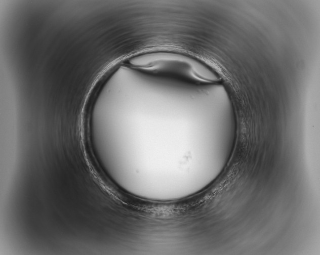 X0000096201038200802081536