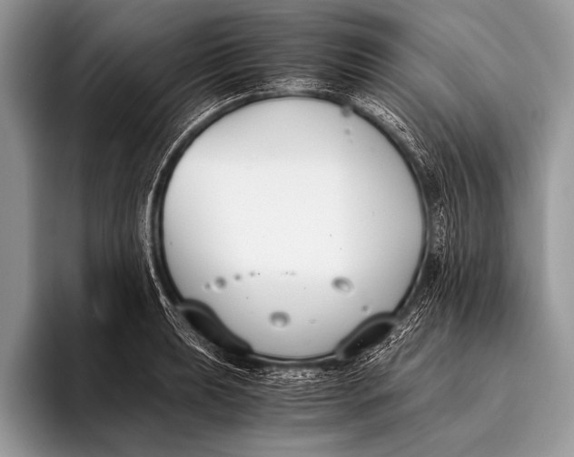 X0000096201039200802081536