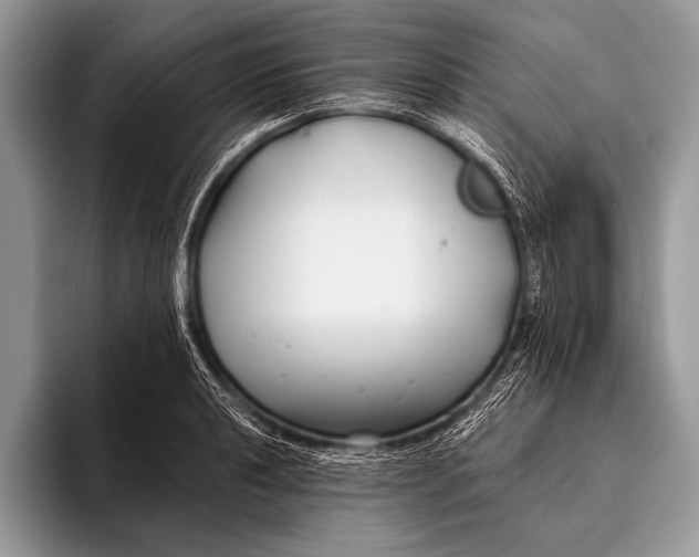 X0000096201040200802081536