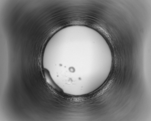 X0000096201041200802081536