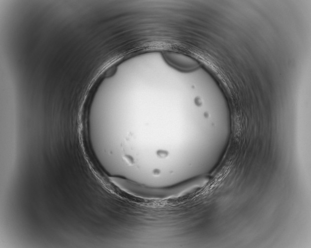 X0000096201042200802081536