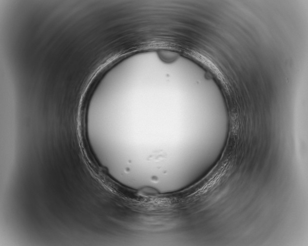 X0000096201043200802081536