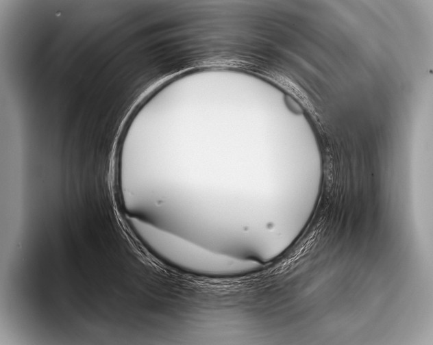 X0000096201044200802081536