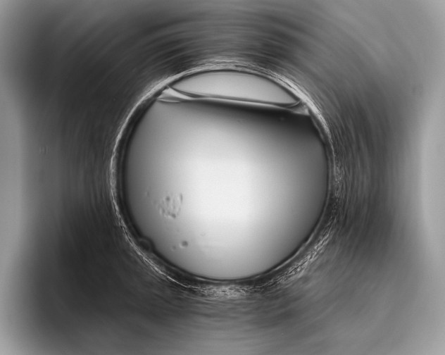 X0000096201045200802081536