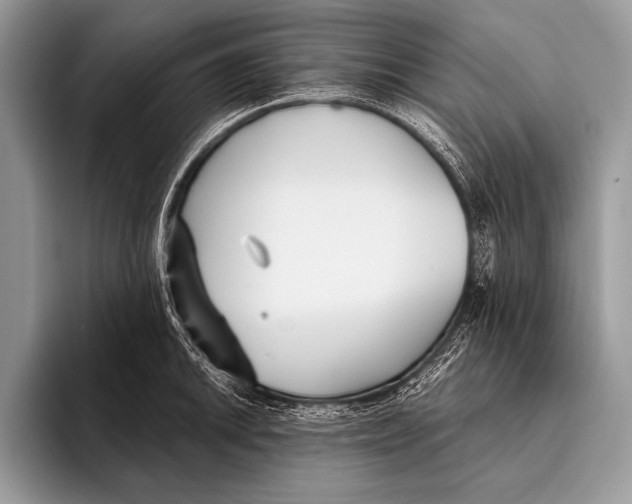 X0000096201046200802081536