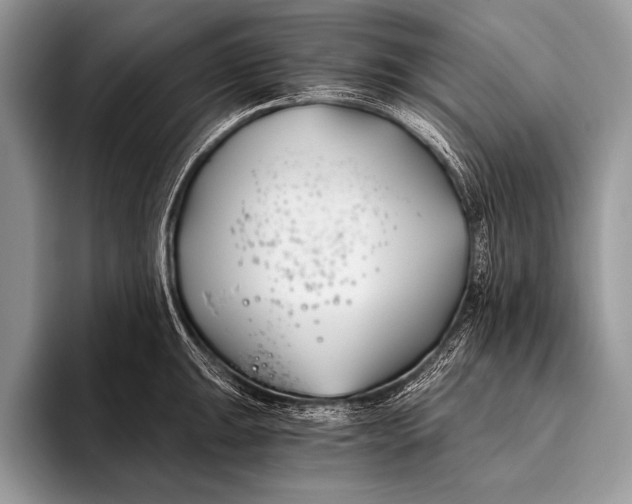 X0000096201047200802081536