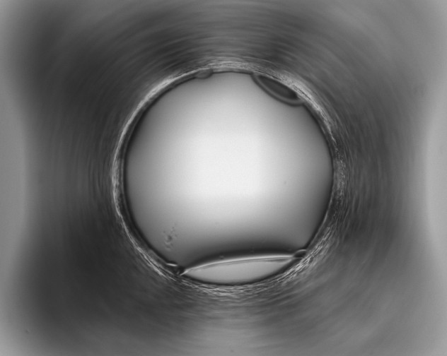 X0000096201048200802081536