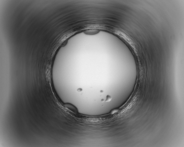 X0000096201049200802081536