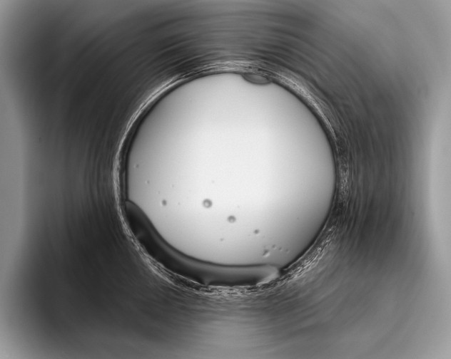 X0000096201050200802081536