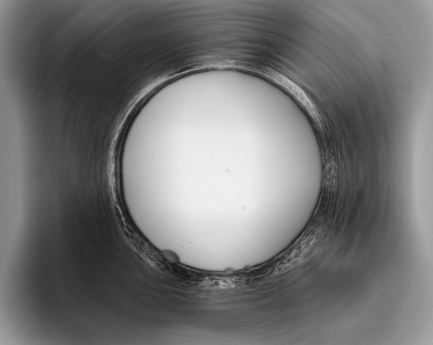 X0000096201051200802081536