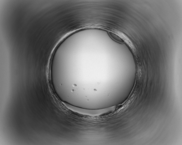 X0000096201052200802081536