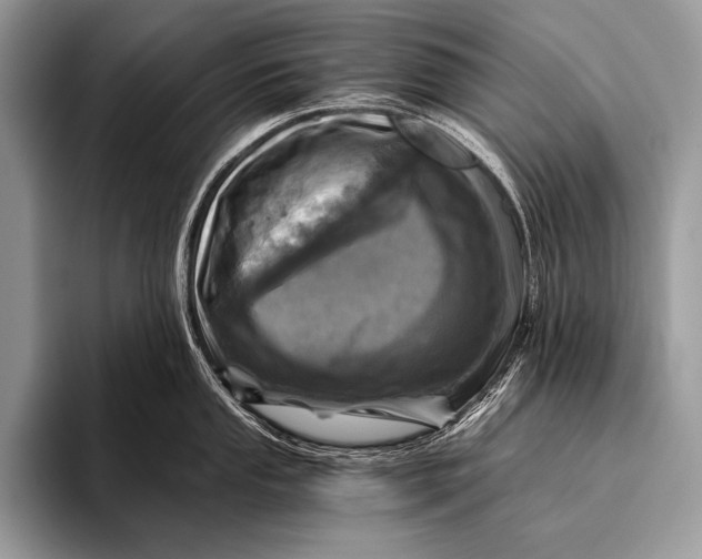 X0000096201053200802081536