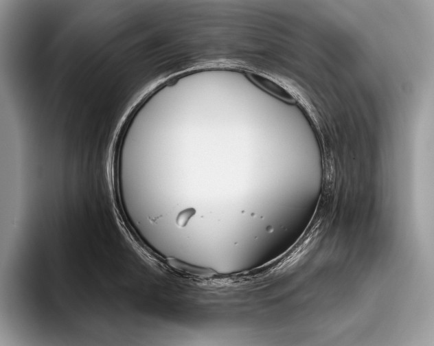 X0000096201054200802081536