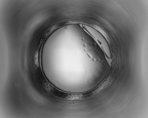 X0000096201055200802081536