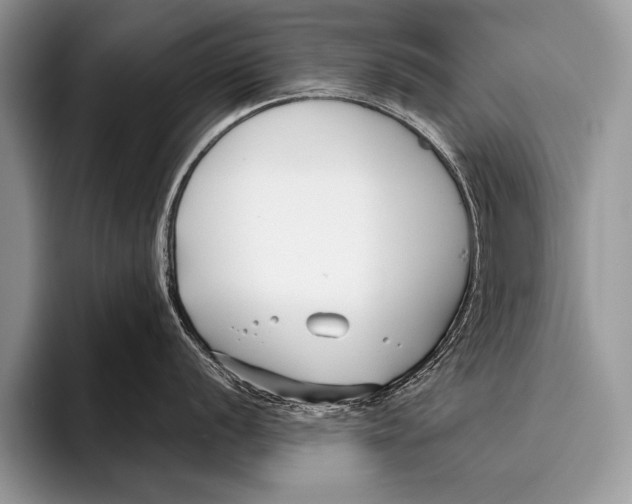 X0000096201056200802081536