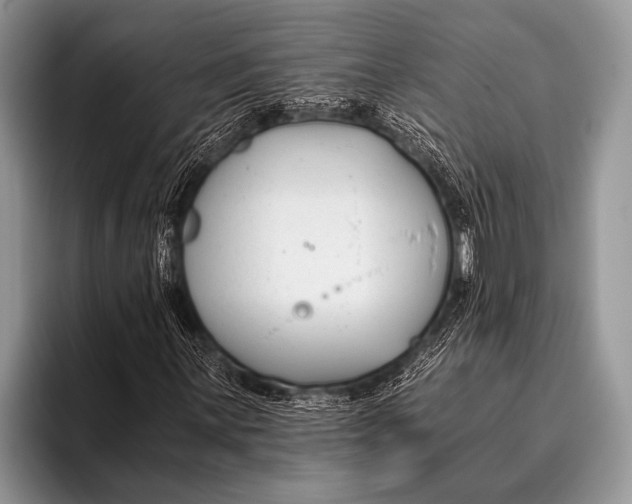 X0000096201059200802081536