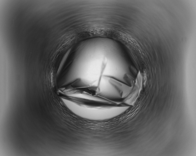 X0000096201060200802081536