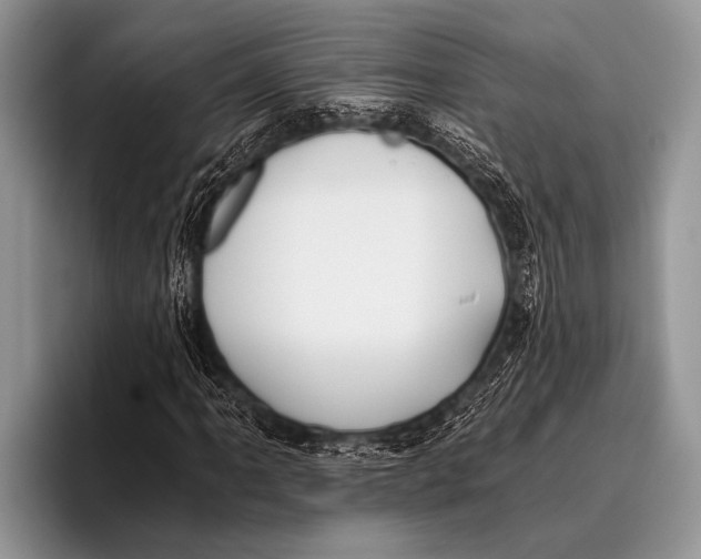 X0000096201061200802081535