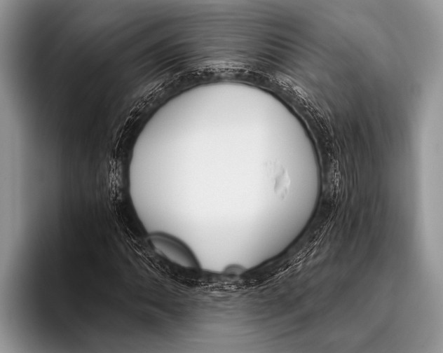 X0000096201062200802081535