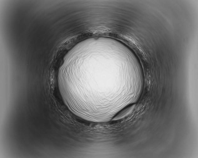 X0000096201063200802081535