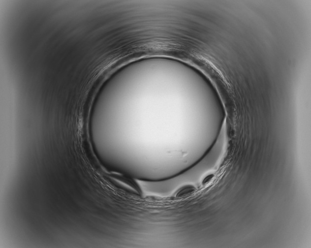 X0000096201065200802081535