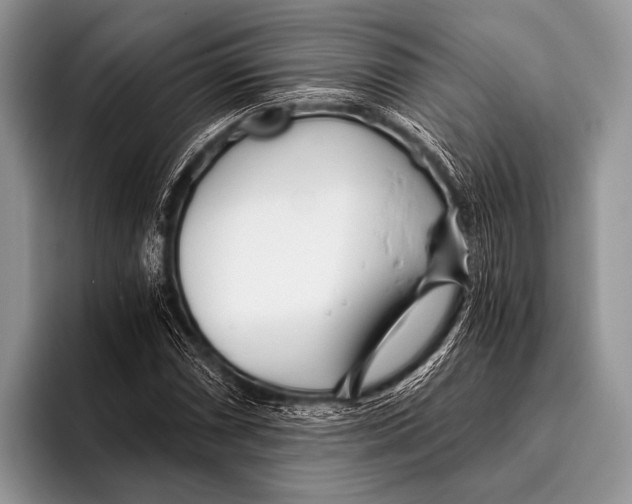 X0000096201066200802081535