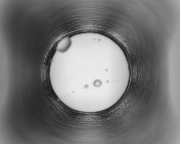 X0000096201067200802081535