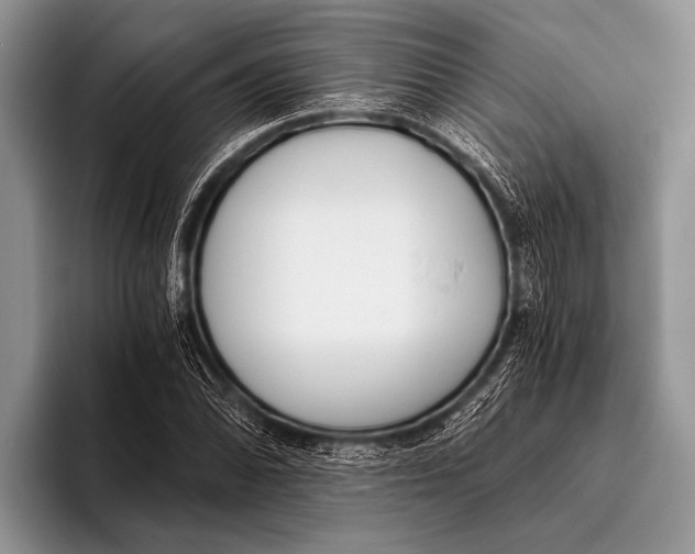 X0000096201070200802081535