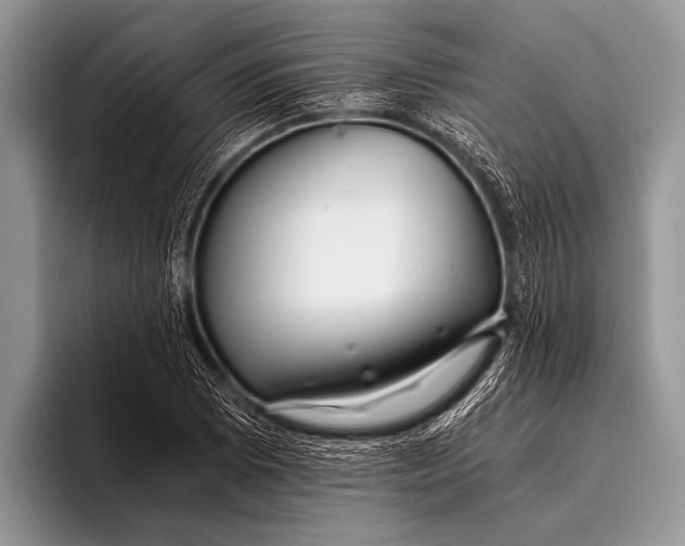 X0000096201073200802081535