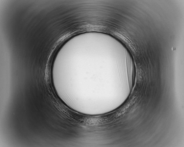 X0000096201074200802081535