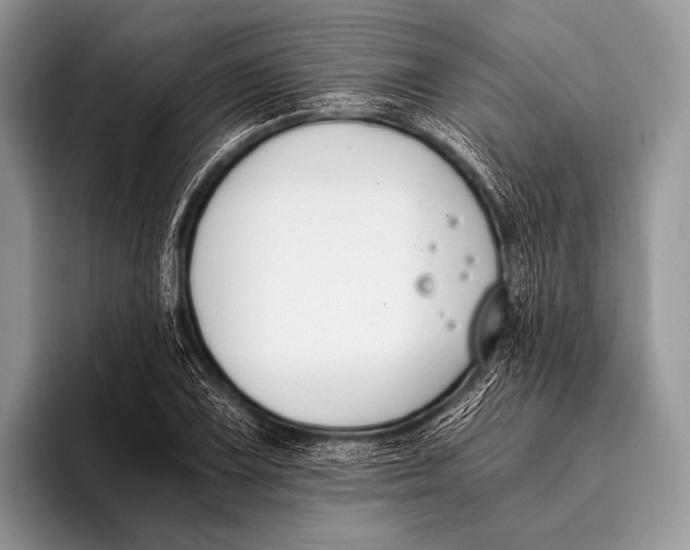 X0000096201075200802081535