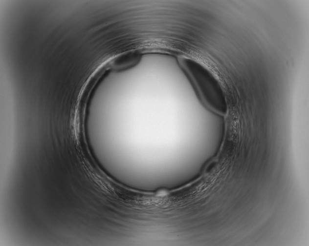 X0000096201076200802081535