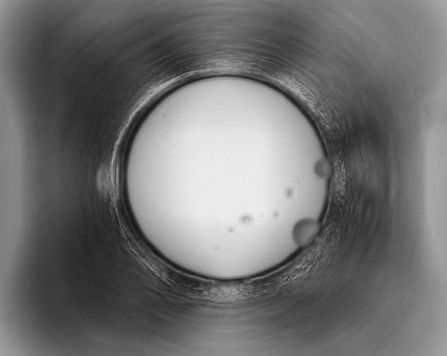 X0000096201078200802081535