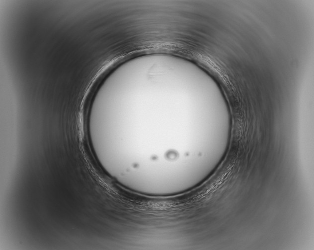 X0000096201079200802081535