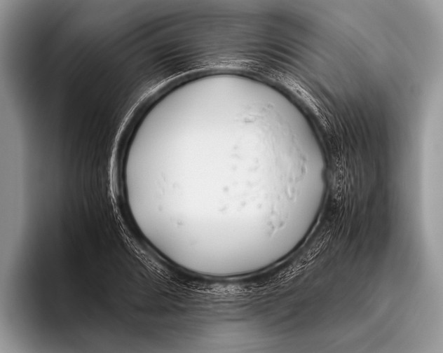 X0000096201080200802081535