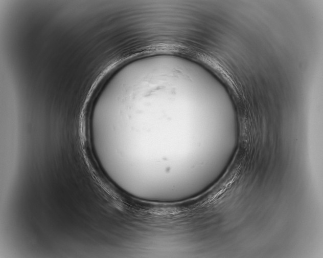 X0000096201083200802081535